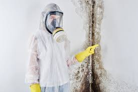 Best Mold Remediation for Healthcare Facilities  in South Venice, FL